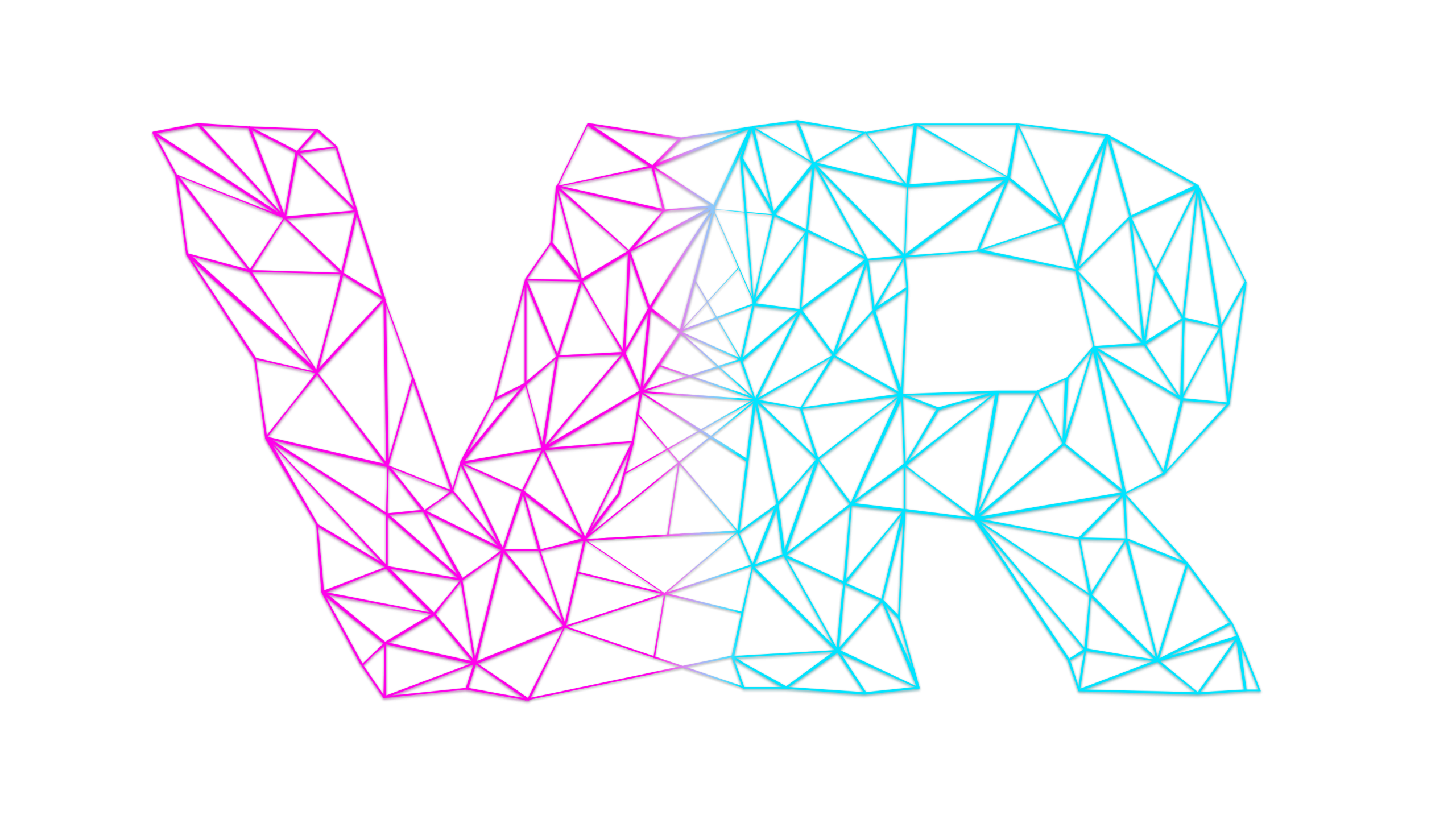 VRides Merch
